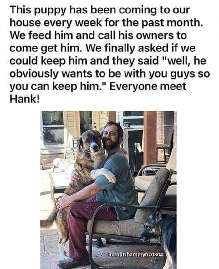 Wholesome-Memes-Funny