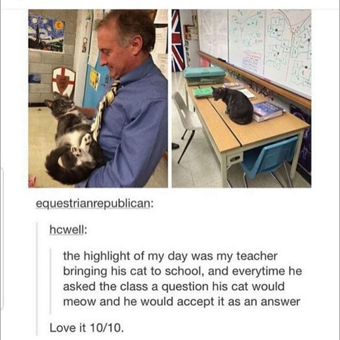 Wholesome-Memes-Funny