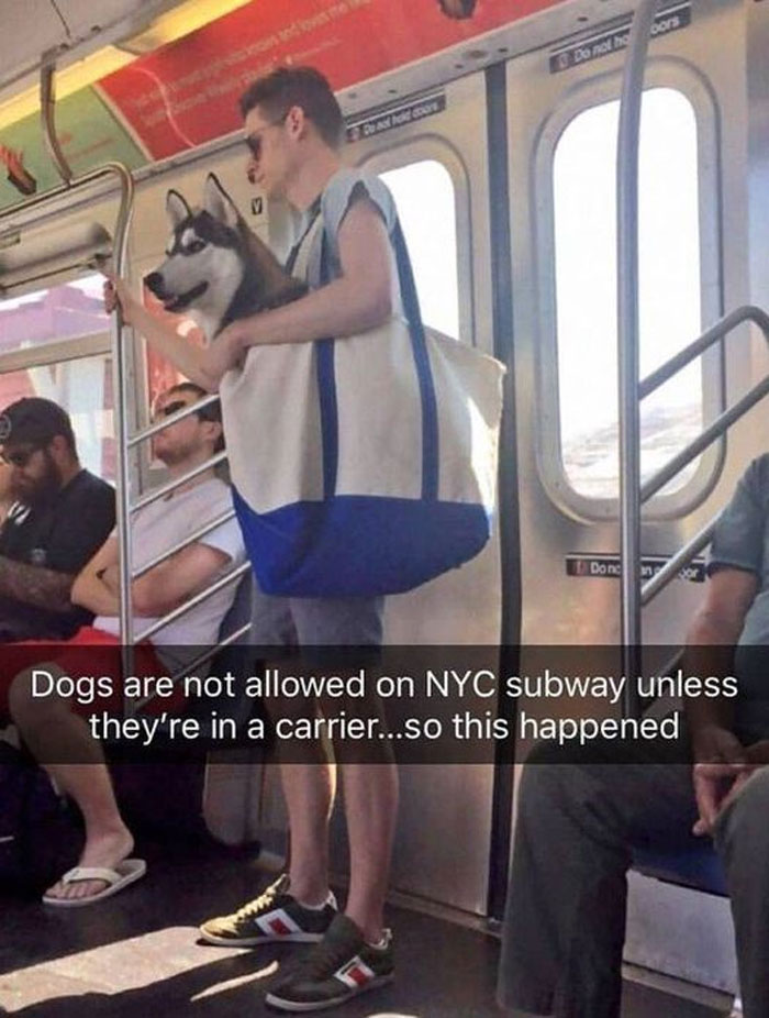 Wholesome-Memes-Funny