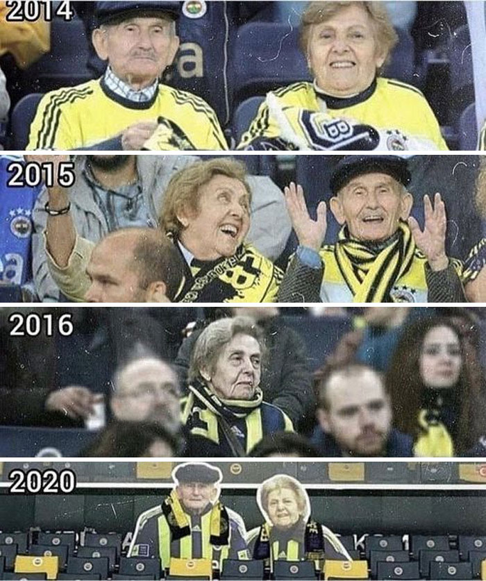 Wholesome-Memes-Funny