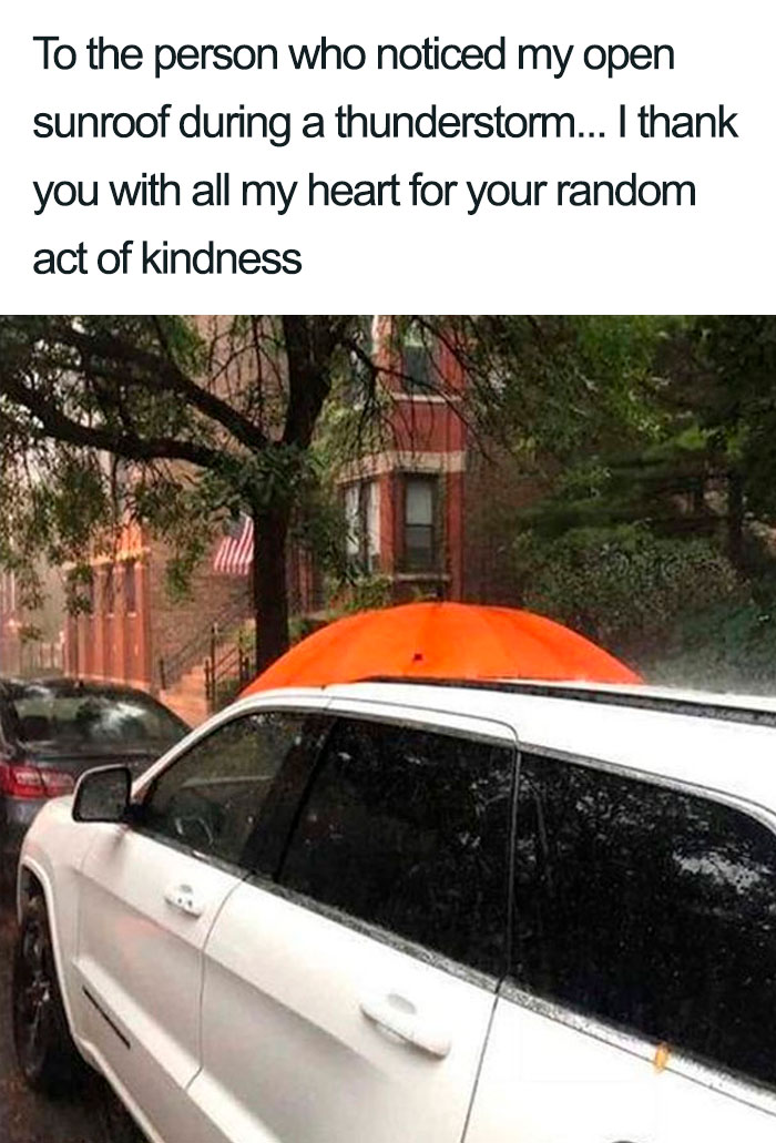 Wholesome-Memes-Funny