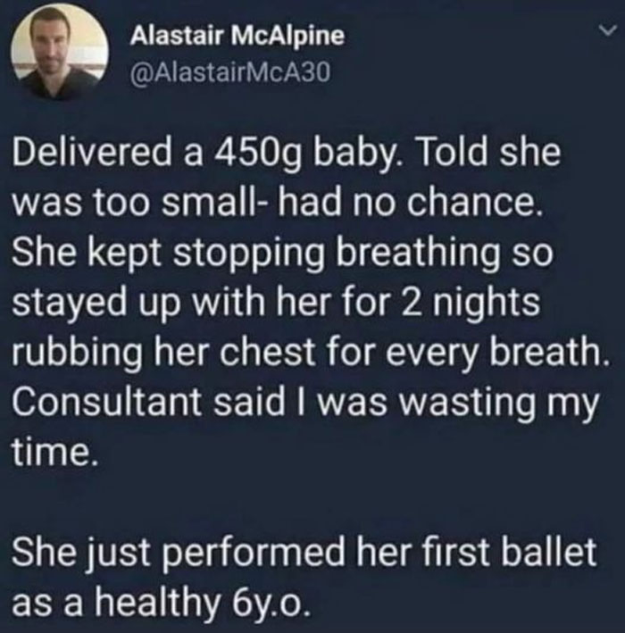 Wholesome-Memes-Funny