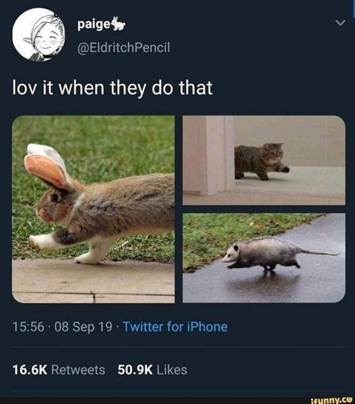 Wholesome-Memes-Funny