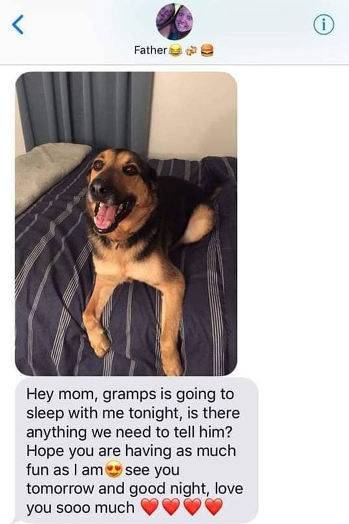 Wholesome-Memes-Funny