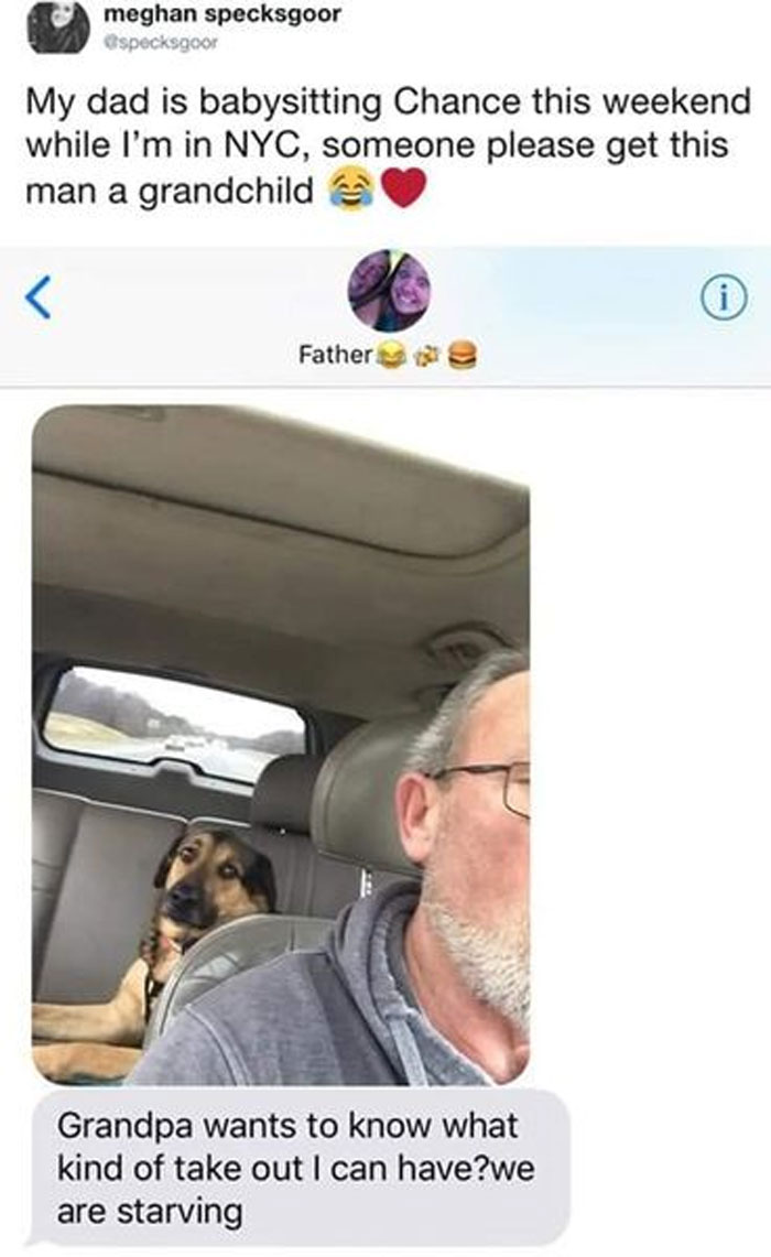 Wholesome-Memes-Funny