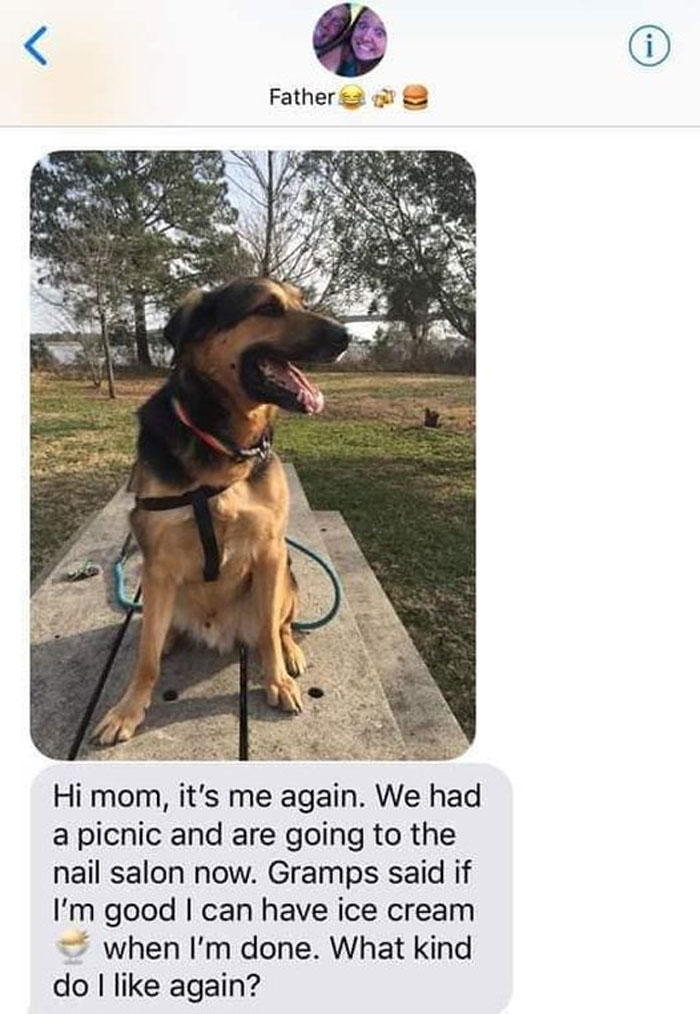 Wholesome-Memes-Funny