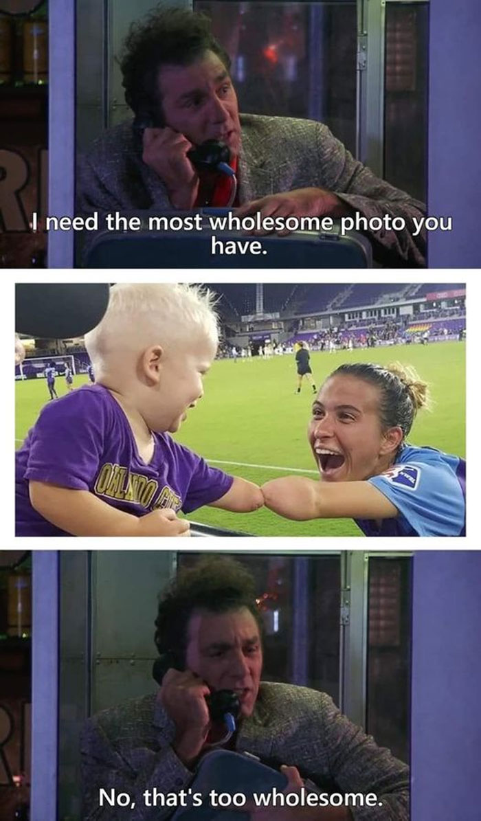 Wholesome-Memes-Funny