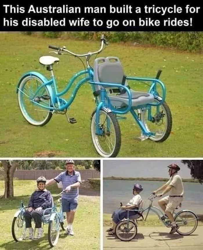 Wholesome-Memes-Funny