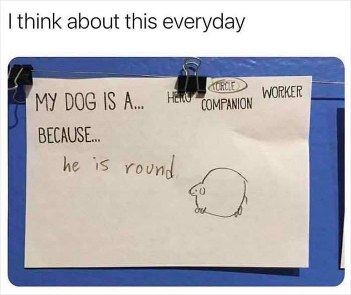 Wholesome-Memes-Page