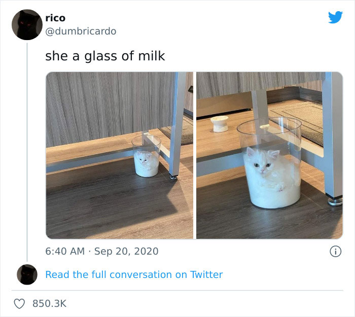 Wholesome-Memes-Page