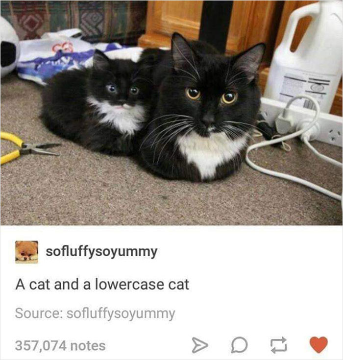 Wholesome-Memes-Page