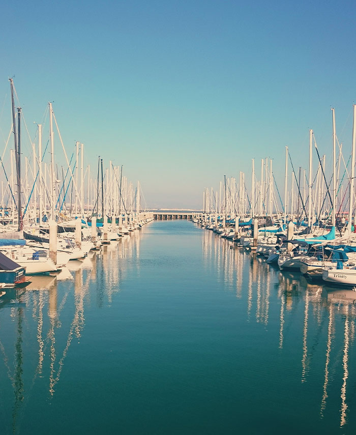 Multiple yachts parked in water 