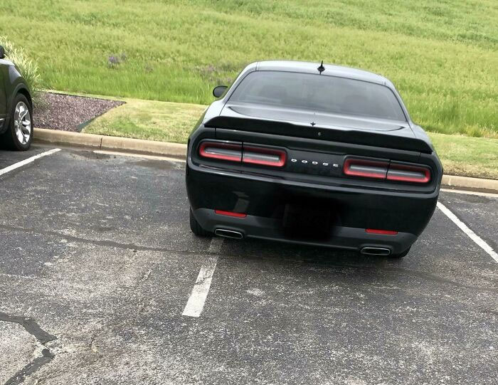 This Is At My Work. She Does This Every Single Day