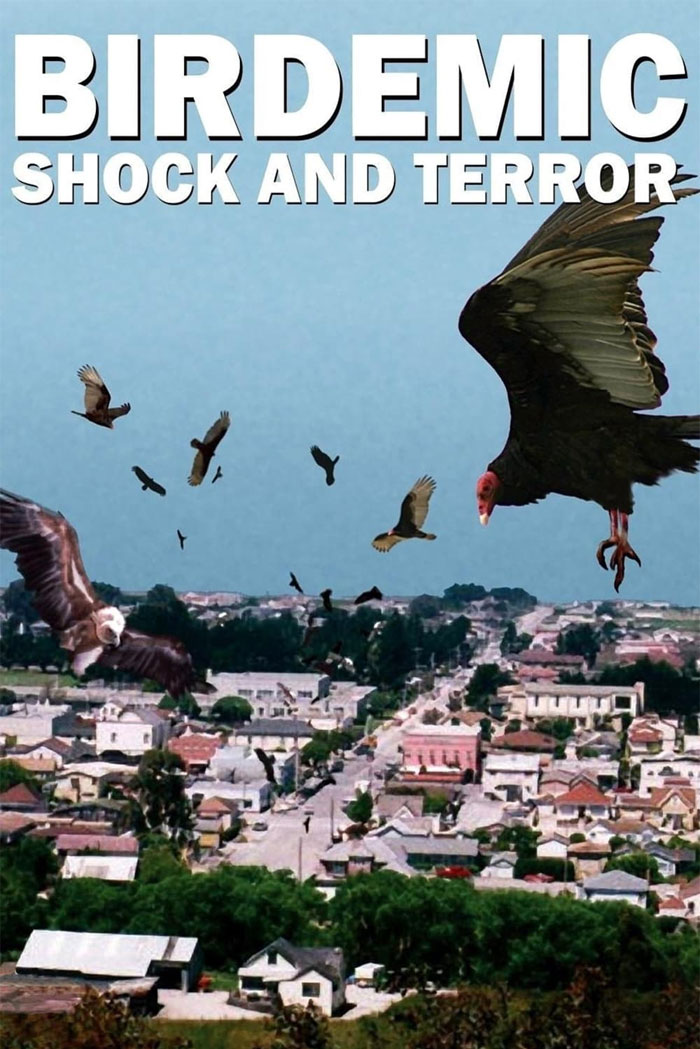 Birdemic: Shock And Terror