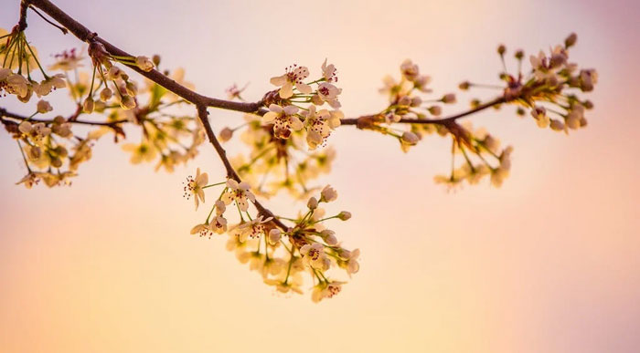 20 Personas cuentan historias sobre sus vecinos horribles y son peores de lo que crees