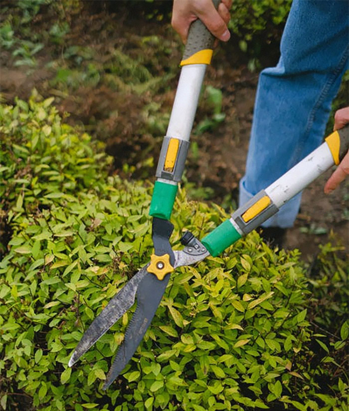 20 Personas cuentan historias sobre sus vecinos horribles y son peores de lo que crees