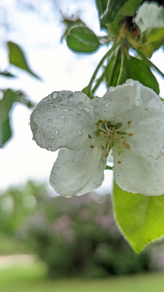 Some Amateur Photography