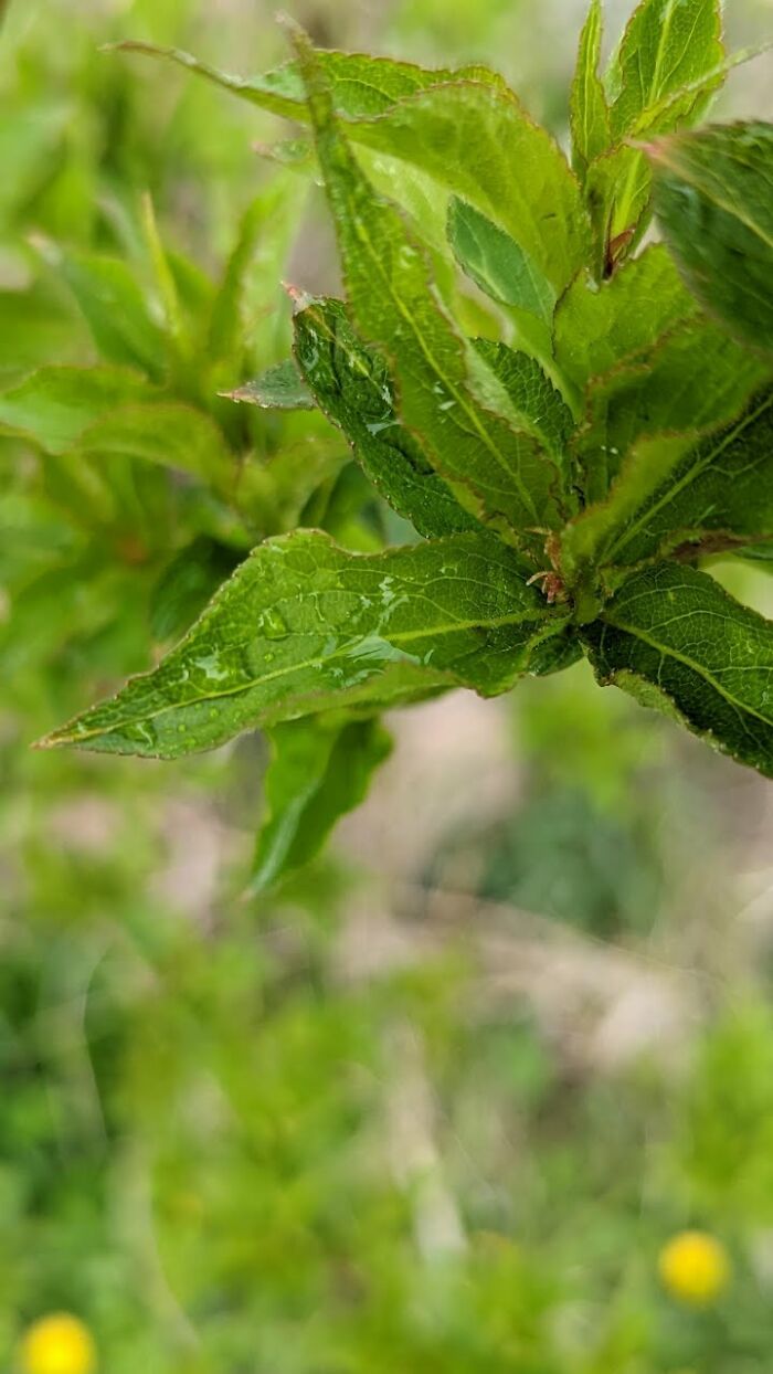 Some Amateur Photography