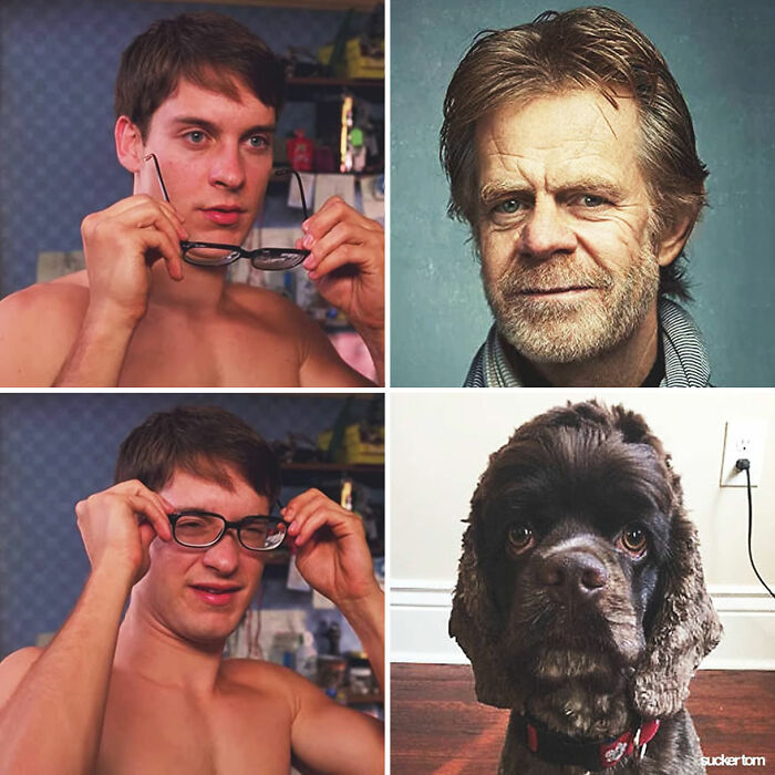 William H. Macy