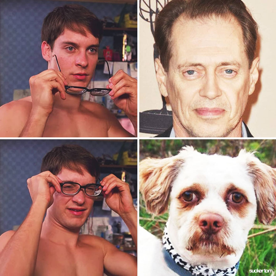 Steve Buscemi