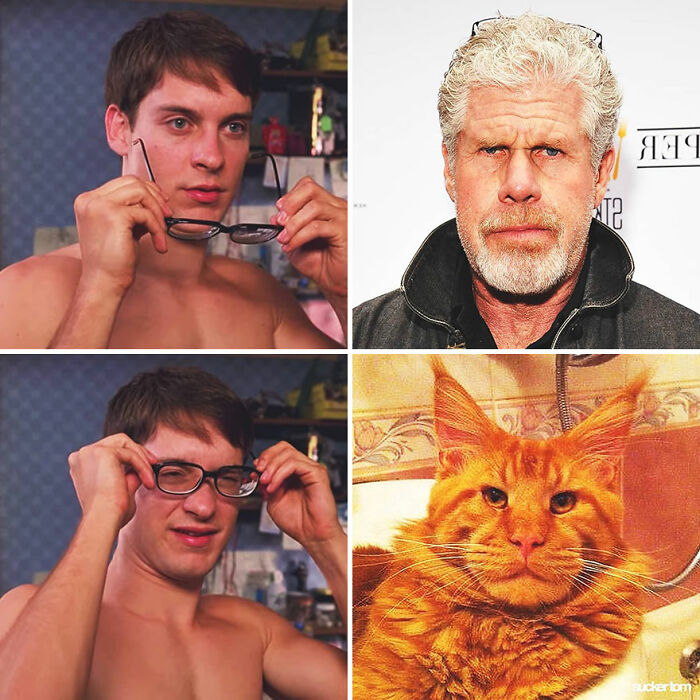 Ron Perlman