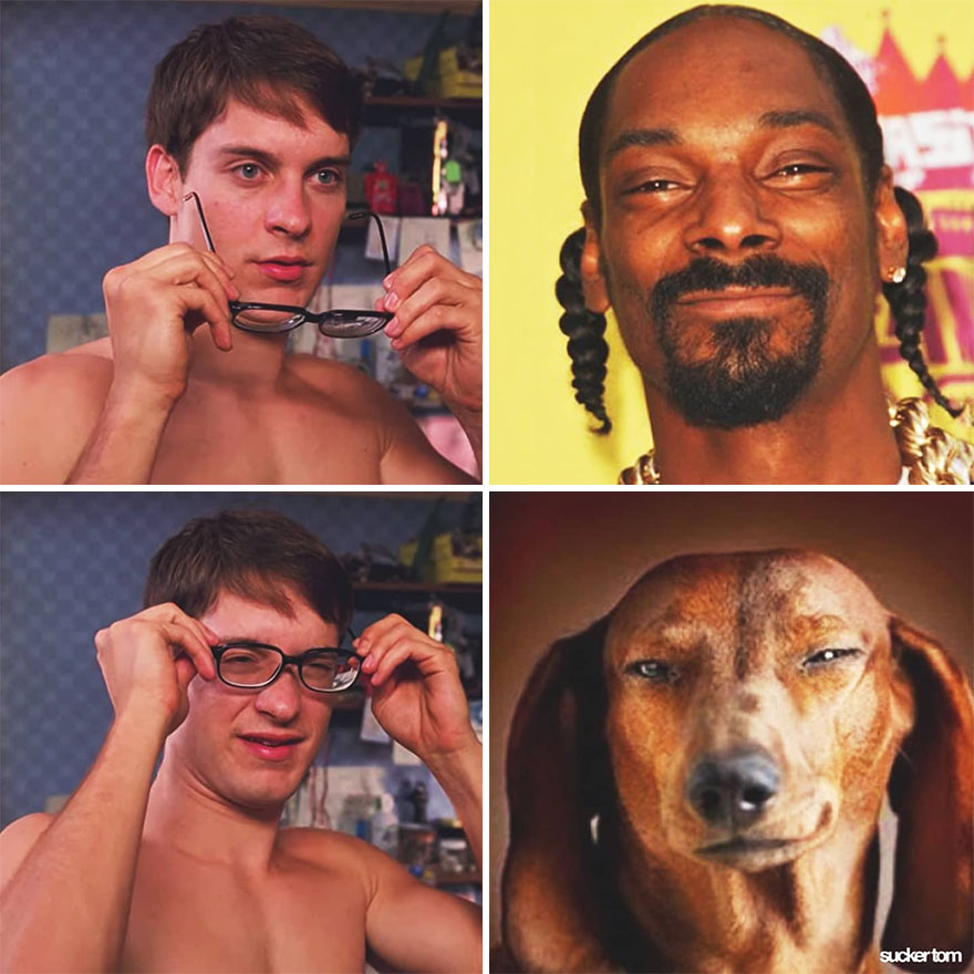 Snoop Dog