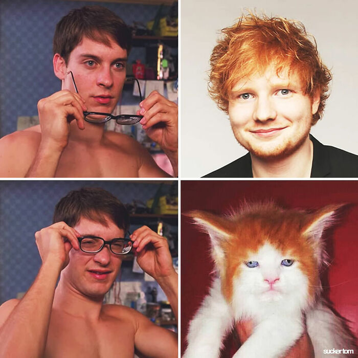Ed Sheeran
