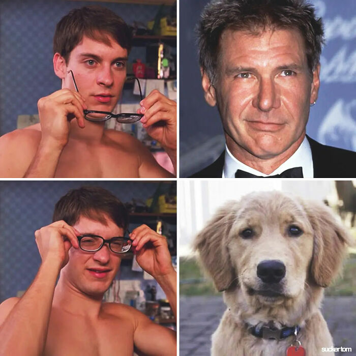 Harrison Ford