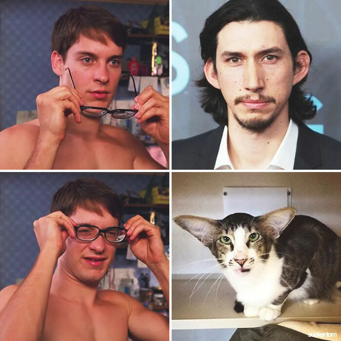 Adam Driver