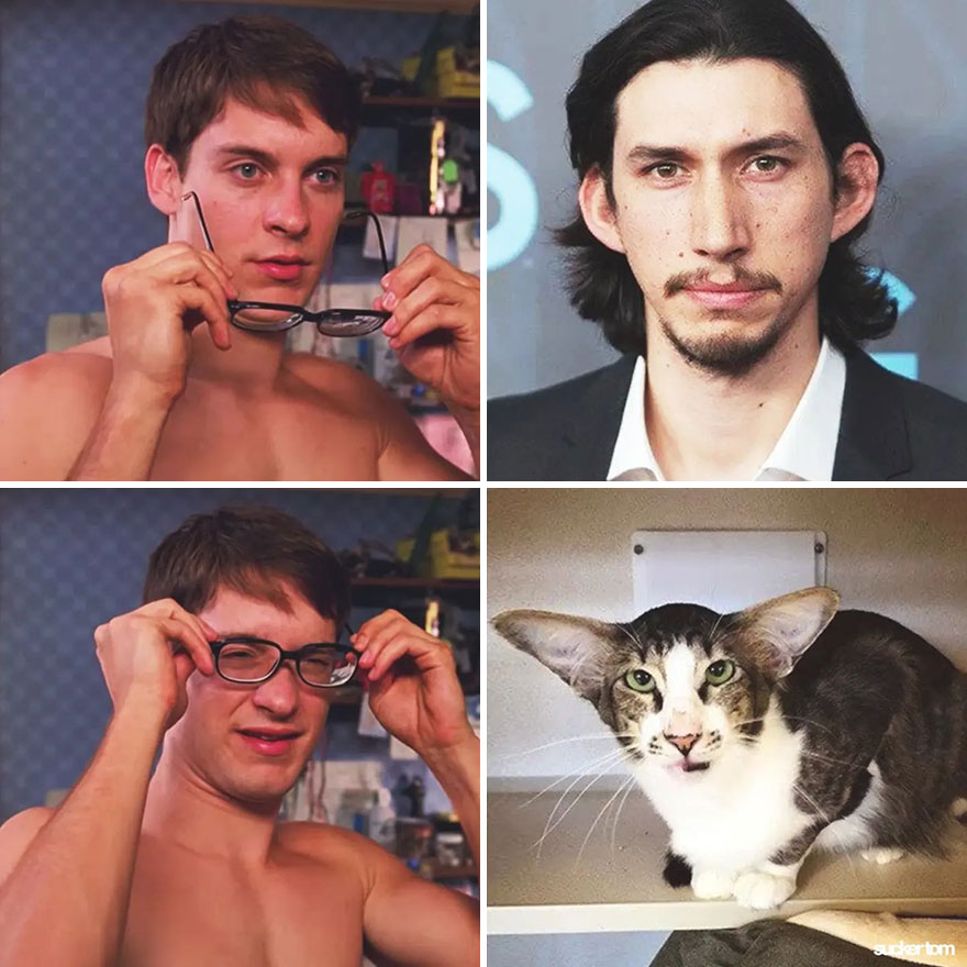 Adam Driver