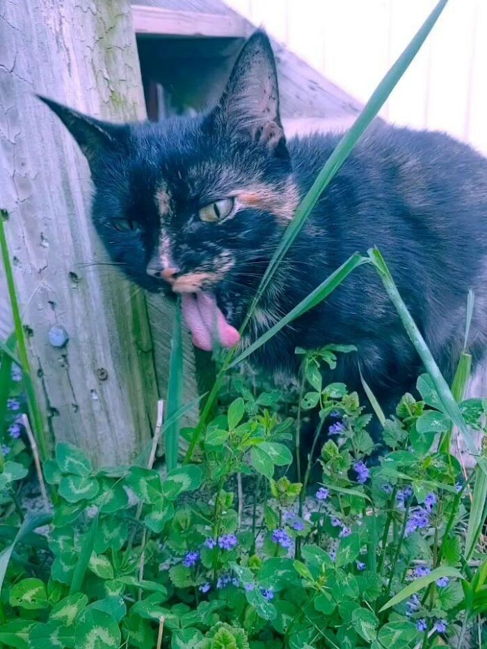 She Doesn't Know That The "Waasssup!" Thing Has Been Over For A Couple Of Decades.