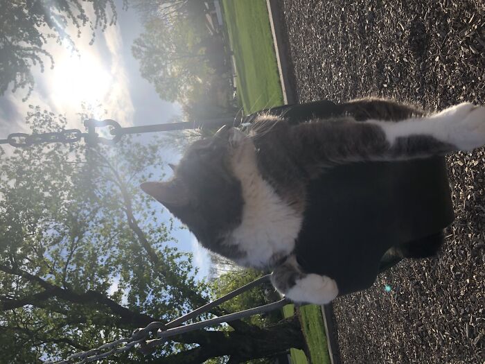 Rocky (How Do I Add Text, Help)