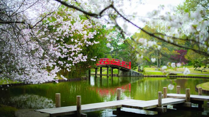 The Botanical Garden In Memphis Tennessee