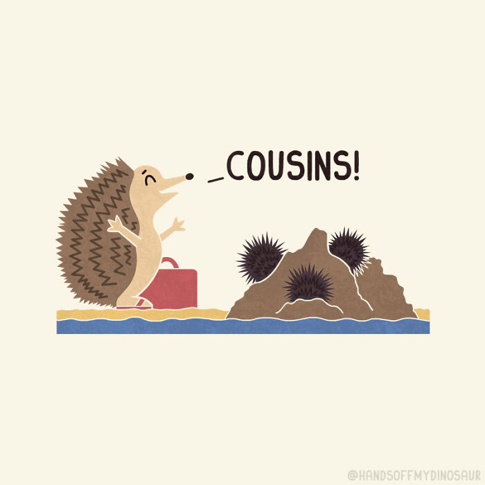 I Drew Animals In Funny Everyday Situations