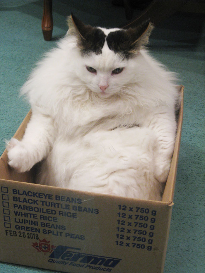 30 Cheap, Mass-Produced Items That Are Stupendously Well Engineered, According To Folks In This Online Thread