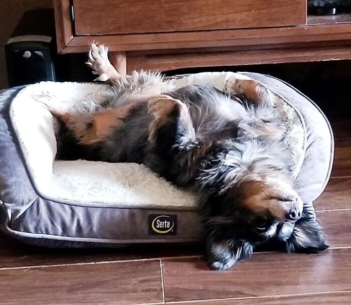 My Lady Trying To Be Cool