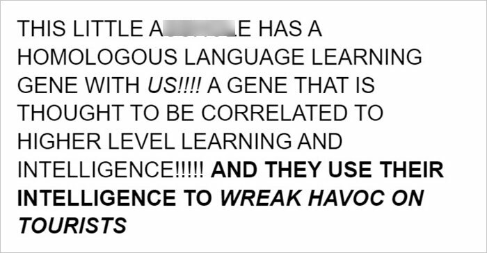 Netizens Are Loving This Humorous Tumblr Post Dedicated To The Intellectual Contrast Between Crows And Keas