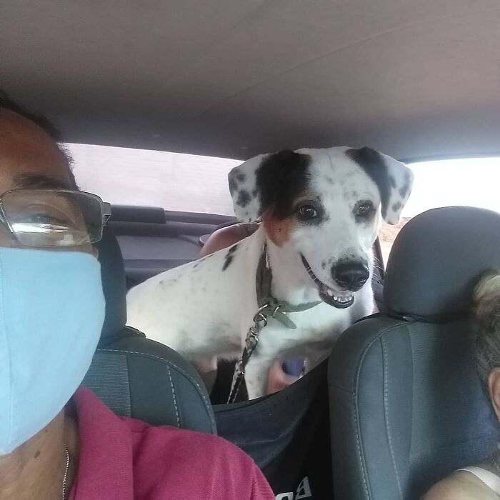 40 Selfies This Guy Has Taken With The Passengers Of His “Pet Taxi” Business