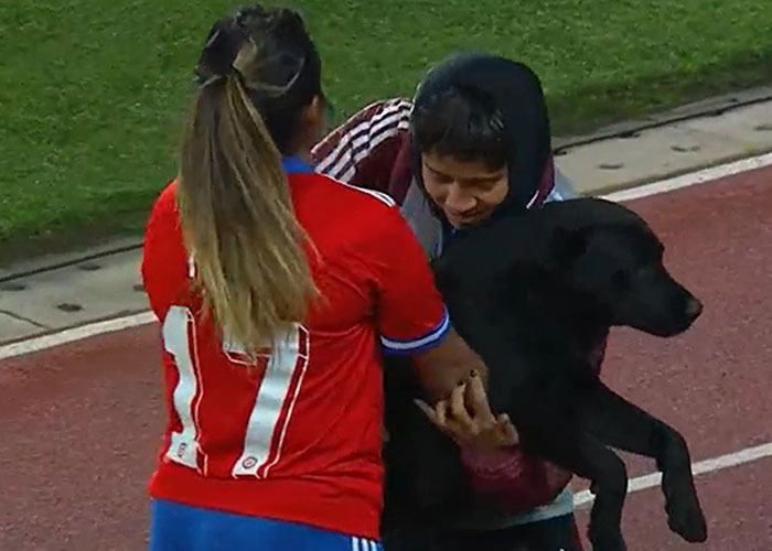 Dog-Interrupts-Football-Match-For-Belly-Rubs
