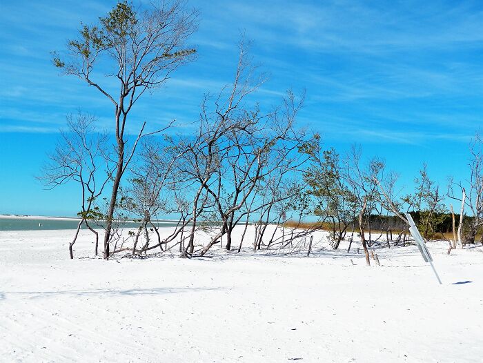 January 2019, Fort Desoto Fl, North Beach Area