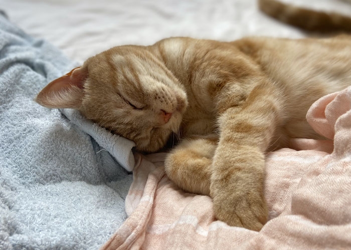 50 People Reveal The “Oh, Hell No” Moment That Made Them End Their Relationship