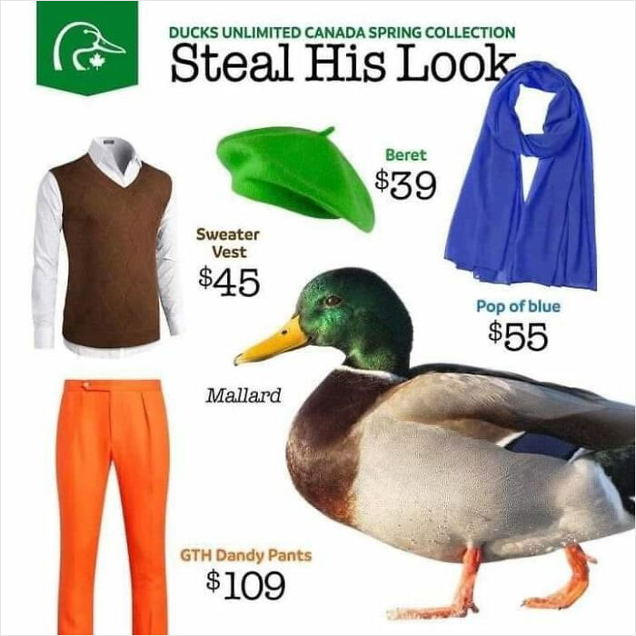 Weird-Funny-Ads-With-Threatening-Auras