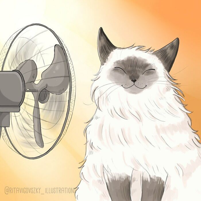 Artist Shows Everyday Life With A Cat Summarized In Adorable Comics (69 New Pics)