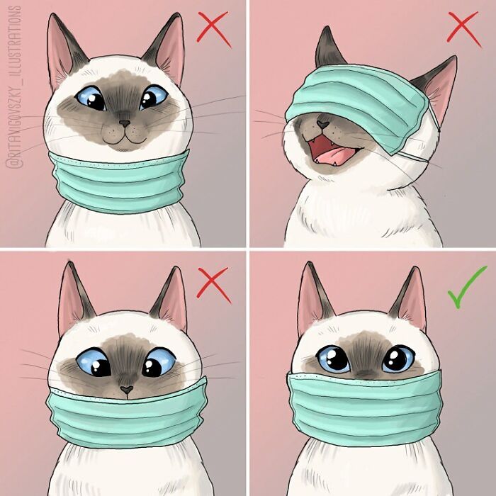 Artist Shows Everyday Life With A Cat Summarized In Adorable Comics (69 New Pics)