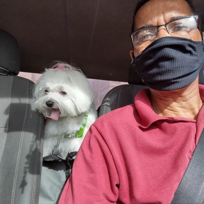 40 Selfies This Guy Has Taken With The Passengers Of His “Pet Taxi” Business