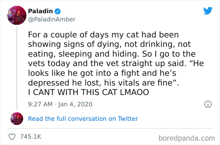 Ridiculous-Vet-Bills