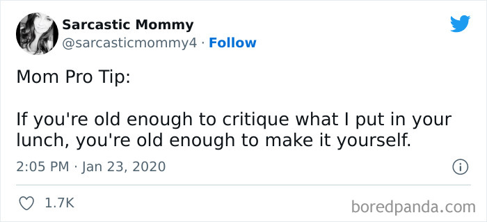 Satirical-Mommy-Memes