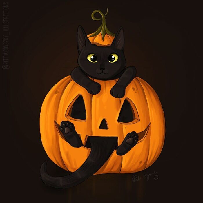 Artist Shows Everyday Life With A Cat Summarized In Adorable Comics (69 New Pics)