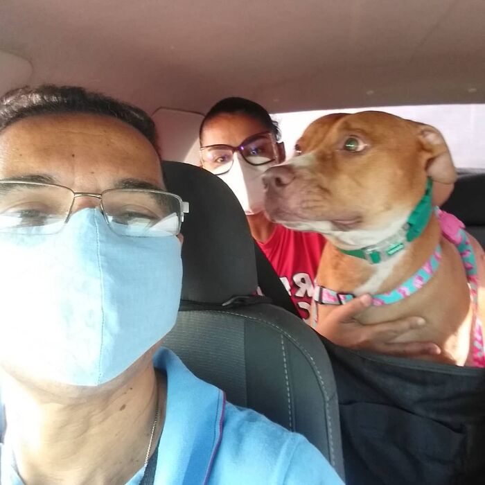 40 Selfies This Guy Has Taken With The Passengers Of His “Pet Taxi” Business