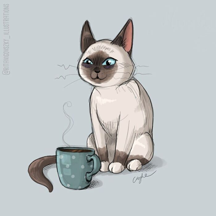 Artist Shows Everyday Life With A Cat Summarized In Adorable Comics (69 New Pics)